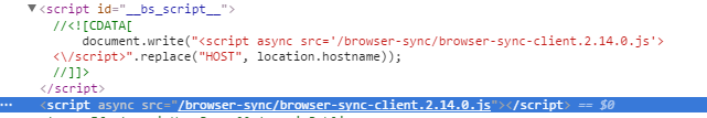 Browsersync loading scripts